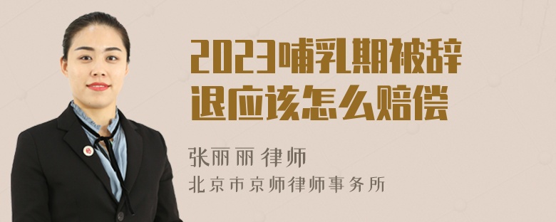 2023哺乳期被辞退应该怎么赔偿