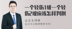 一个轻伤1级一个轻伤2级应该怎样判刑