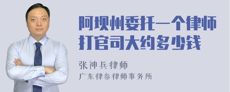 阿坝州委托一个律师打官司大约多少钱