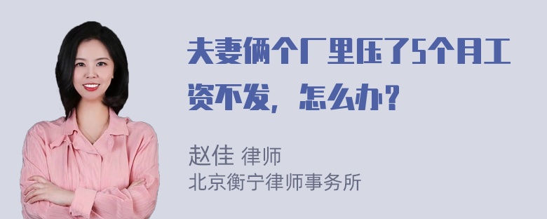 夫妻俩个厂里压了5个月工资不发，怎么办？