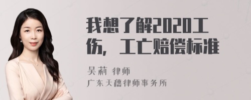 我想了解2020工伤，工亡赔偿标准