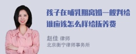 孩子在哺乳期离婚一般判给谁应该怎么样给抚养费