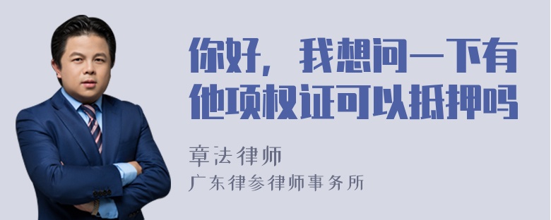 你好，我想问一下有他项权证可以抵押吗