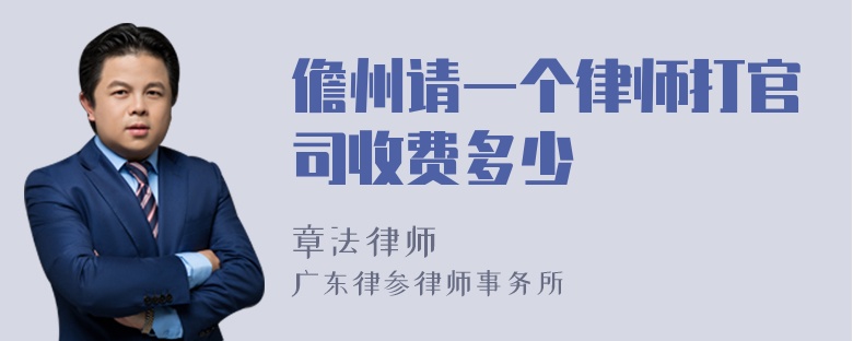 儋州请一个律师打官司收费多少