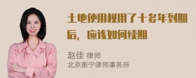 土地使用权用了十多年到期后，应该如何续期