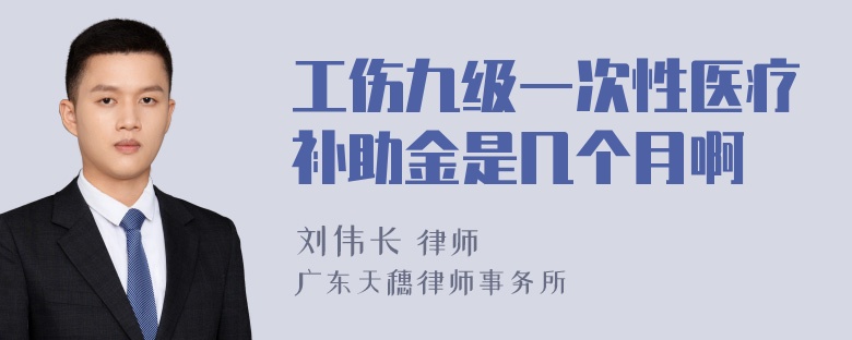 工伤九级一次性医疗补助金是几个月啊