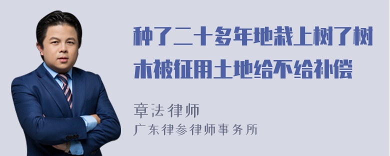 种了二十多年地栽上树了树木被征用土地给不给补偿