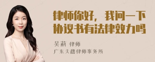 律师你好，我问一下协议书有法律效力吗