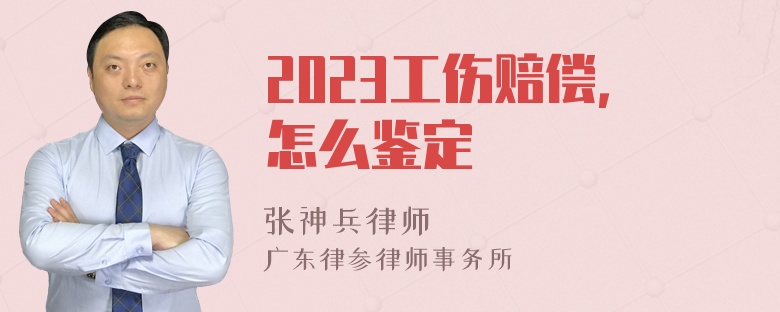 2023工伤赔偿，怎么鉴定