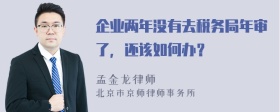 企业两年没有去税务局年审了，还该如何办？