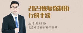 2023恢复强制执行的手续