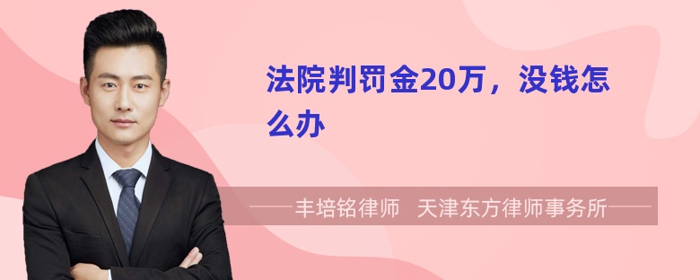 法院判罚金20万，没钱怎么办