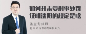 如何开未受刑事处罚证明沈阳的规定是啥