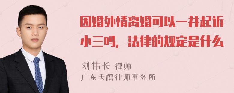 因婚外情离婚可以一并起诉小三吗，法律的规定是什么