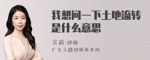 我想问一下土地流转是什么意思