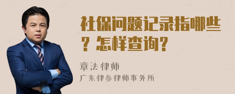 社保问题记录指哪些？怎样查询？