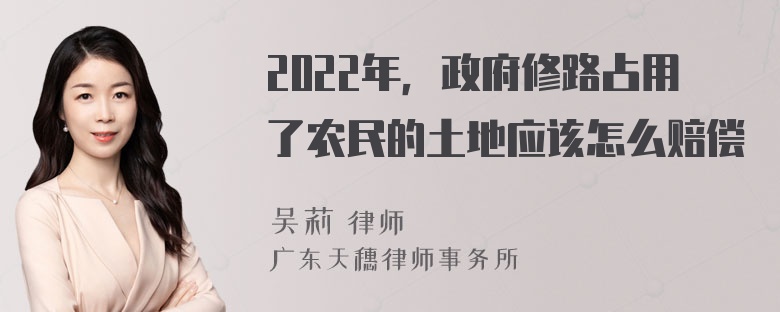 2022年，政府修路占用了农民的土地应该怎么赔偿