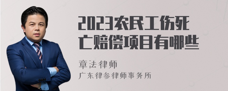 2023农民工伤死亡赔偿项目有哪些