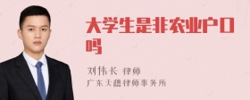 大学生是非农业户口吗