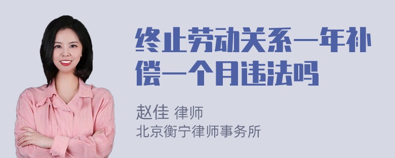 终止劳动关系一年补偿一个月违法吗