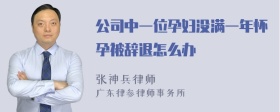 公司中一位孕妇没满一年怀孕被辞退怎么办