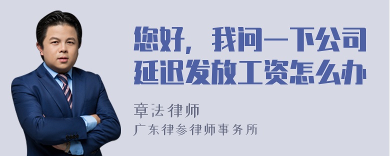 您好，我问一下公司延迟发放工资怎么办