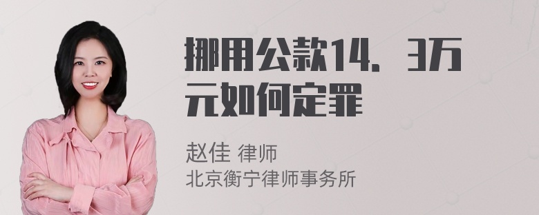 挪用公款14．3万元如何定罪