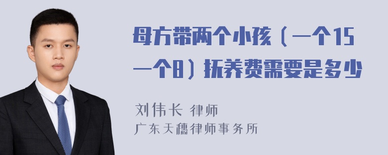 母方带两个小孩（一个15一个8）抚养费需要是多少