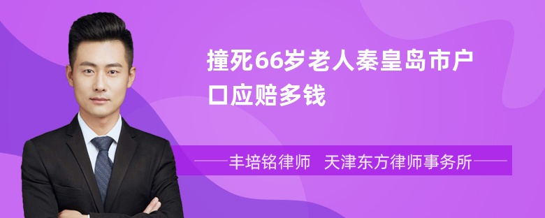 撞死66岁老人秦皇岛市户口应赔多钱