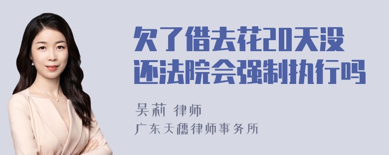 欠了借去花20天没还法院会强制执行吗