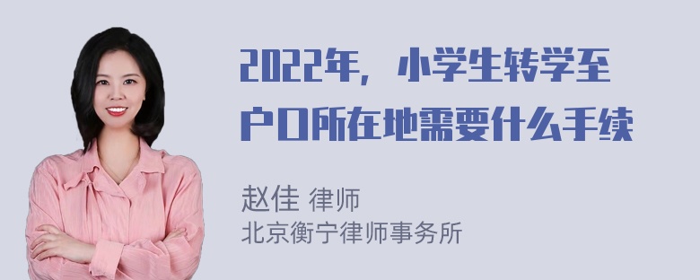 2022年，小学生转学至户口所在地需要什么手续