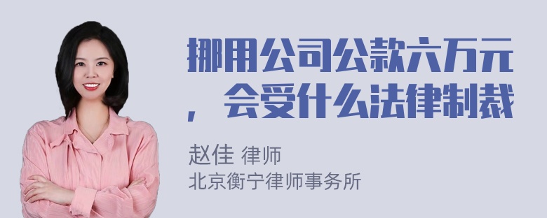 挪用公司公款六万元，会受什么法律制裁