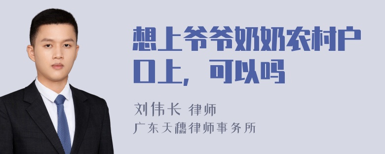 想上爷爷奶奶农村户口上，可以吗