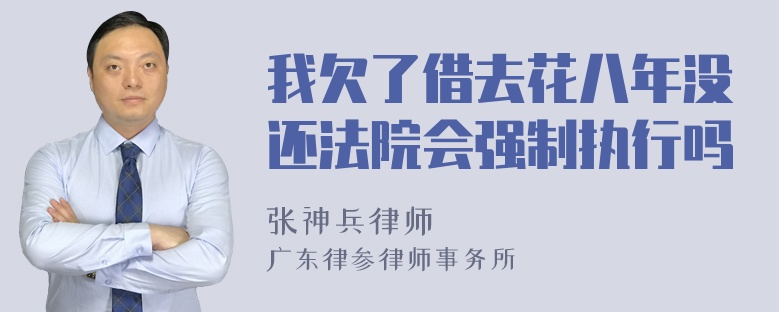 我欠了借去花八年没还法院会强制执行吗