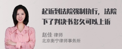 起诉到法院强制执行，法院下了判决书多久可以上诉