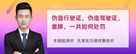 伪造行驶证，伪造驾驶证，套牌，一共如何处罚