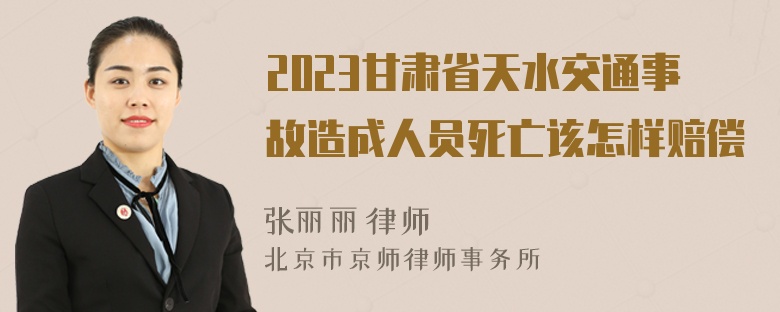 2023甘肃省天水交通事故造成人员死亡该怎样赔偿