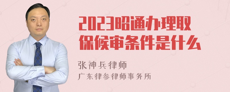 2023昭通办理取保候审条件是什么