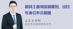 被网上通缉没被抓到，过几年还会不会被抓