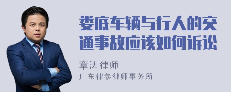 娄底车辆与行人的交通事故应该如何诉讼