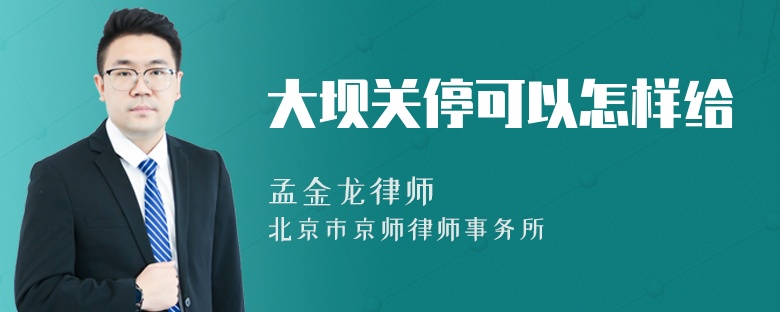 大坝关停可以怎样给