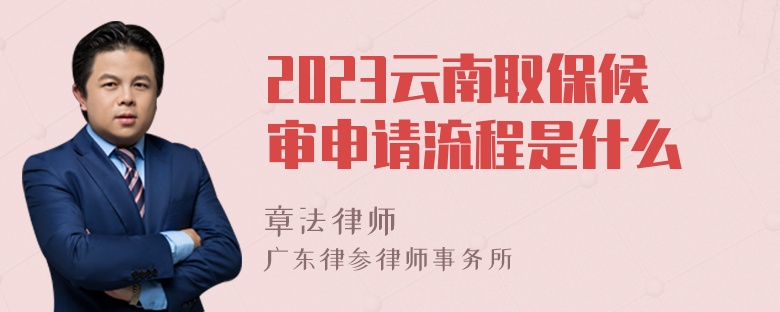 2023云南取保候审申请流程是什么