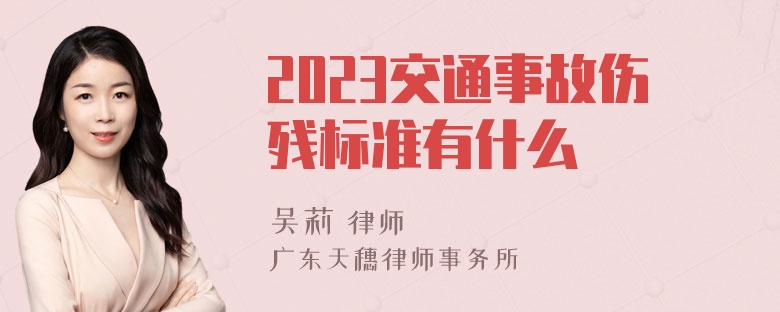 2023交通事故伤残标准有什么