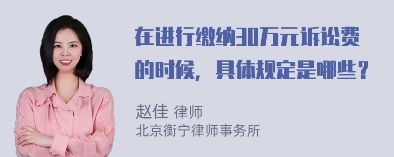 在进行缴纳30万元诉讼费的时候，具体规定是哪些？