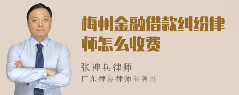 梅州金融借款纠纷律师怎么收费