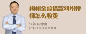 梅州金融借款纠纷律师怎么收费