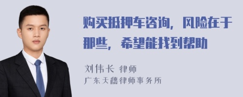 购买抵押车咨询，风险在于那些，希望能找到帮助