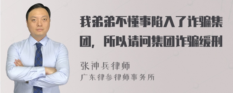 我弟弟不懂事陷入了诈骗集团，所以请问集团诈骗缓刑