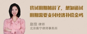 我试用期被辞了，想知道试用期需要支付经济补偿金吗