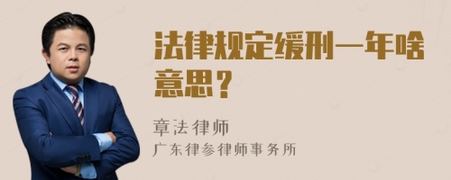 法律规定缓刑一年啥意思？